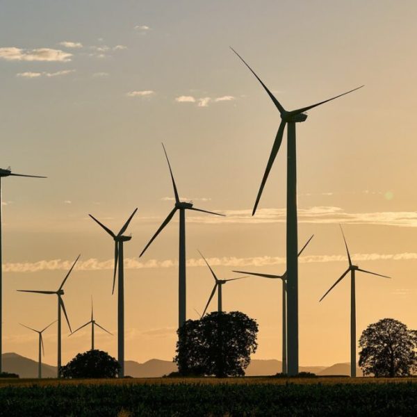 Enerji santrali arka planında, teknik dökümanları çeviren bir uzman bilgisayar başında çalışıyor.